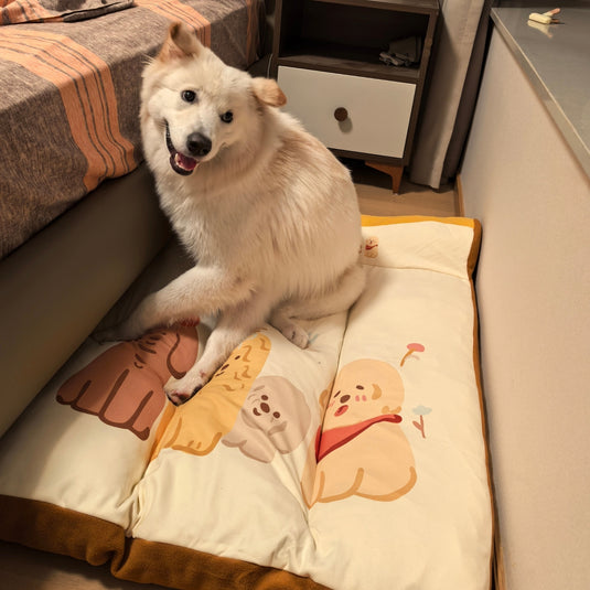 Pet Paradise Dog Bed