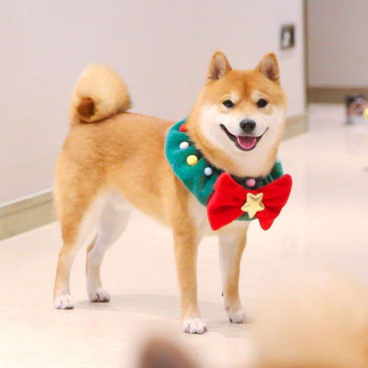 Cute Christmas Dog Collar