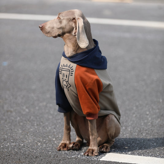 Army Large Dog Hoodie