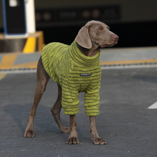 Cozy Winter Striped Large Dog Sweater