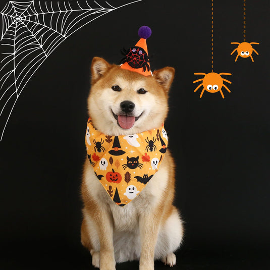 Halloween Pet Hat and Collar