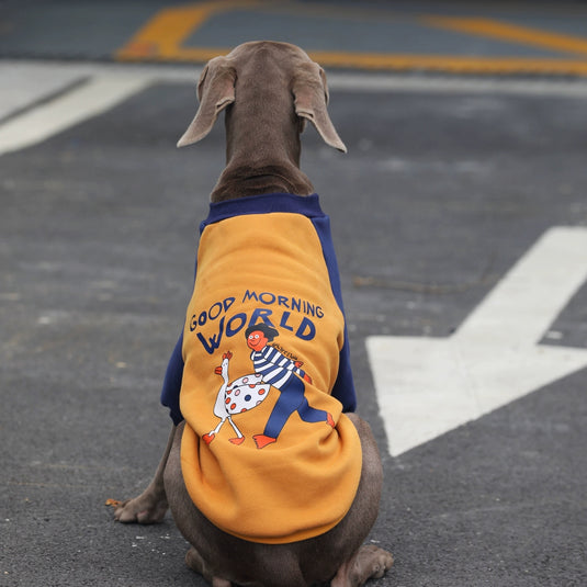 Good Morning World Sweatshirt For Large Dog