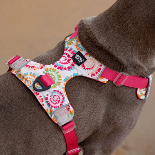 Hippie Harness for Large Dog