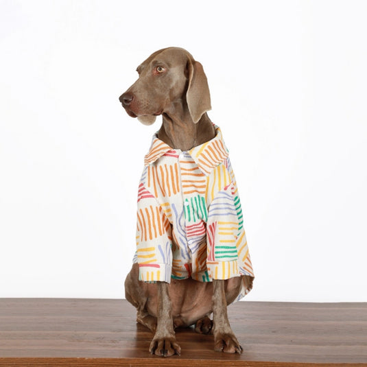 Colorful Large Dog Shirt