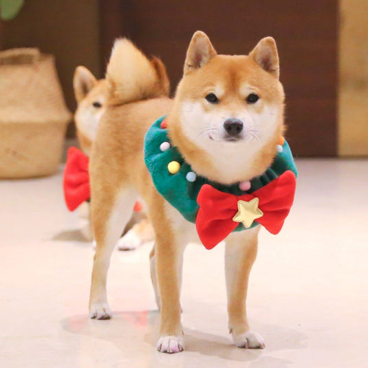 Cute Christmas Dog Collar