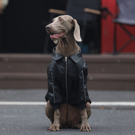 Faux Leather Dog Jacket