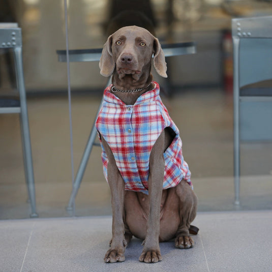 Plaid Vest for Large Dog