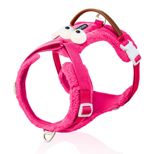 Cute Harness and Leash for Large Dog