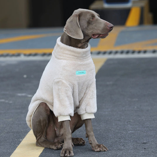 Cozy Plush Sweatshirt for Large Dog