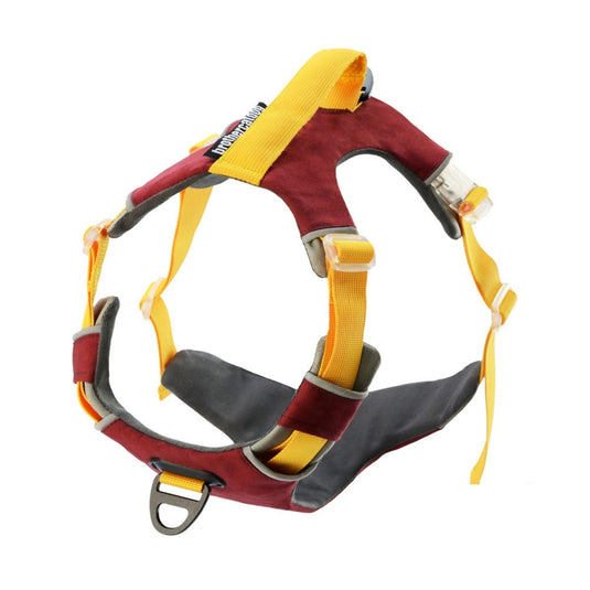 Modern Harness and Leash For Large Dog