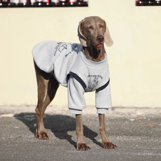 What is Your Problems Large Dog Sweatshirt