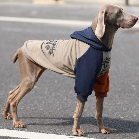 Army Large Dog Hoodie