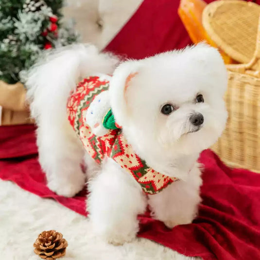 Christmas White Bear Sweater for Dog