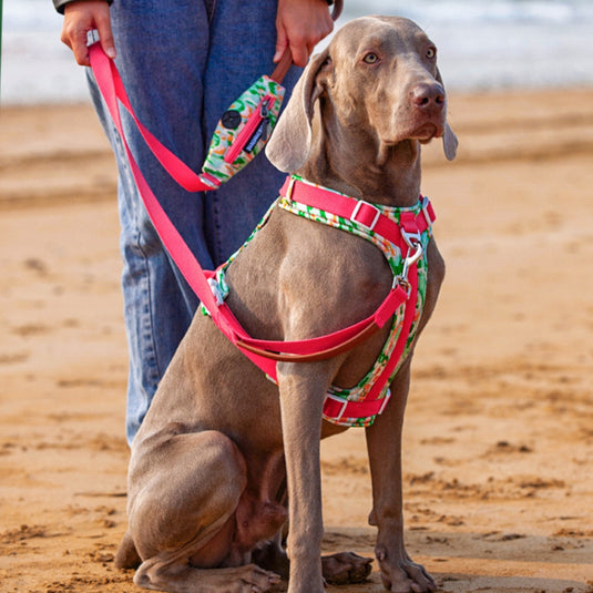 Pink Large Dog Harness and Leash