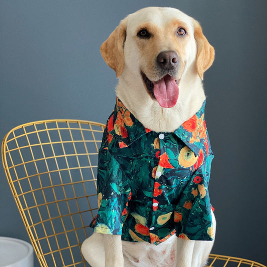 Painting Hawaiian Shirt For Large Dog