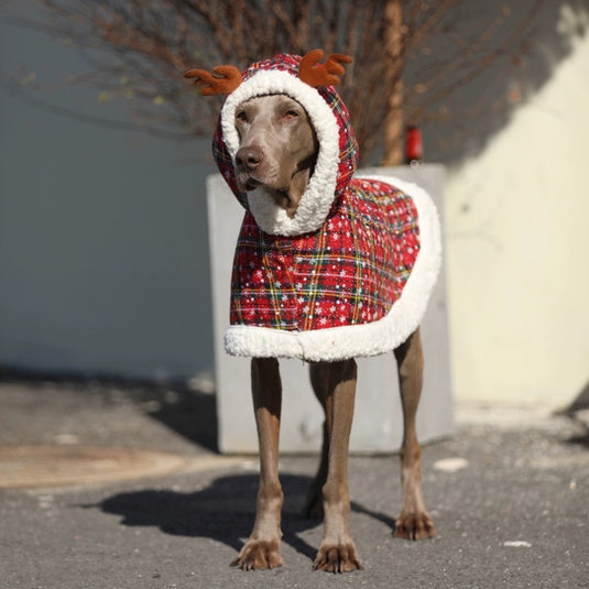 Christmas Cloak for Large Dogs