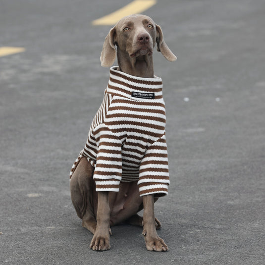 Classic Striped Large Dog Sweater