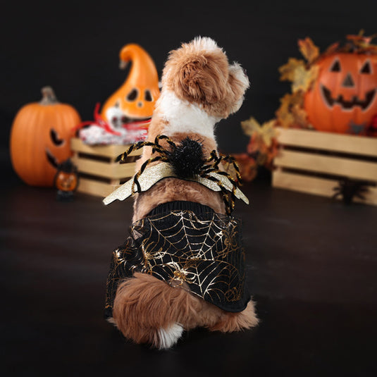 Halloween Spider Costume for Pets