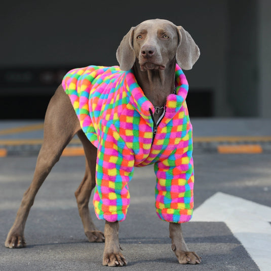 Rainbow Plaid Vest for Large Dog