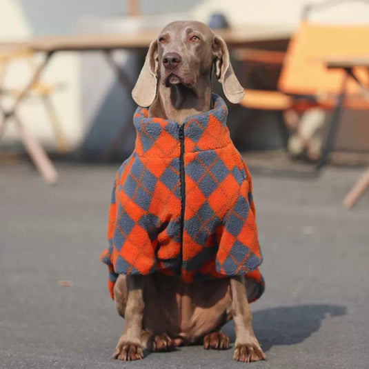 Cozy Large Dog Vest