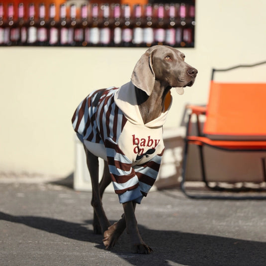 Stripe Baby On Hoodie For Large Dog