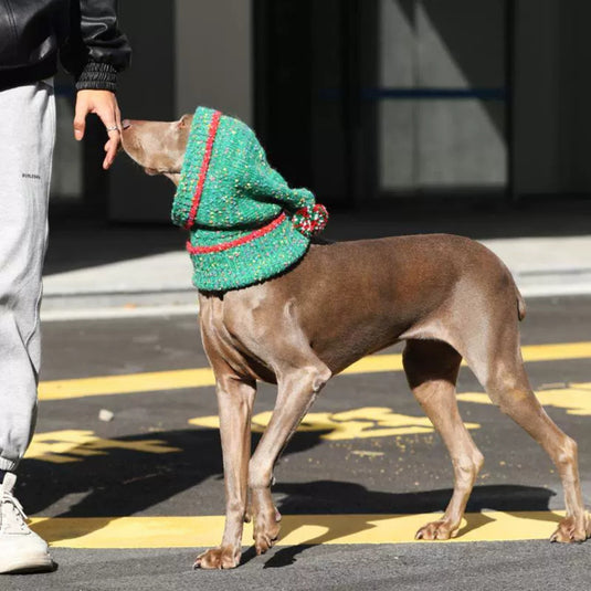 Christmas Large Dog Pajamas and Hat