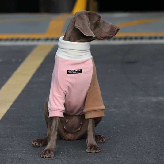 High Neck Sweatshirt for Large Dog