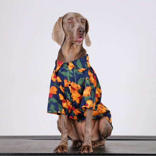 Orange Flower Large Dog Shirt