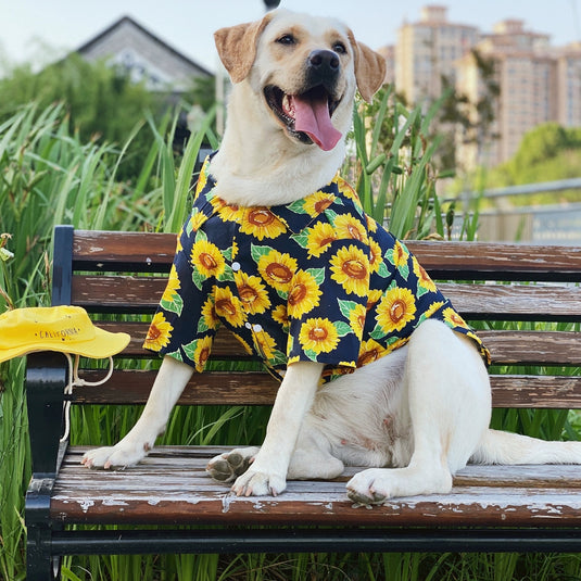 Sunflower Hawaiian Shirt For Large Dog