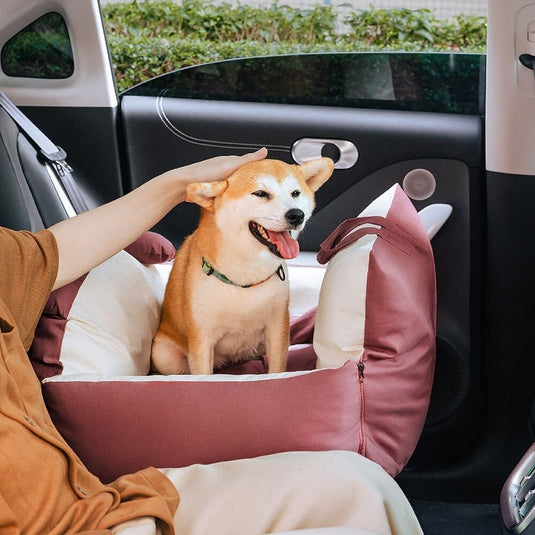 Teddy Dog Car Seat