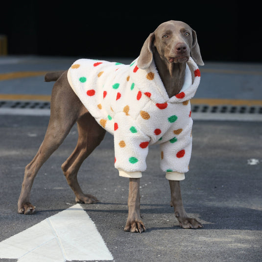 Dot Pattern Large Dog Hoodie