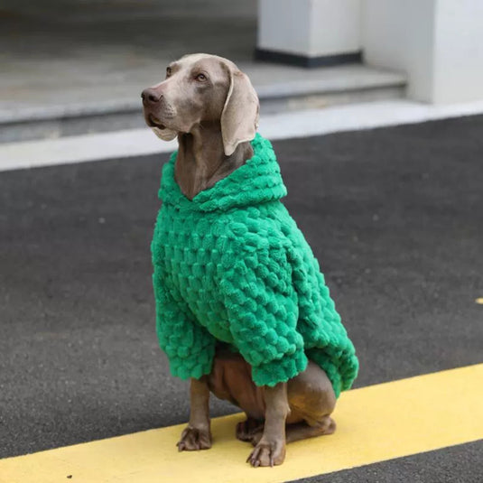 Green Velvet Large Dog Hoodie