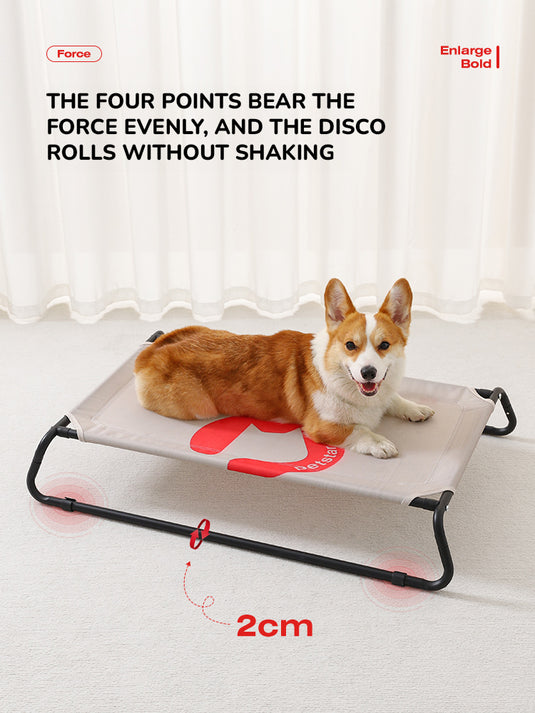 Chew Proof Elevated Dog Bed