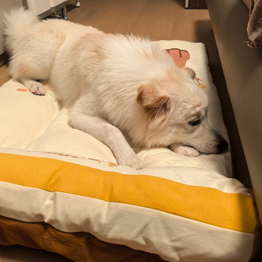 Pet Paradise Dog Bed