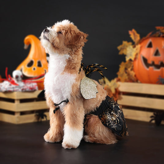 Halloween Spider Costume for Pets