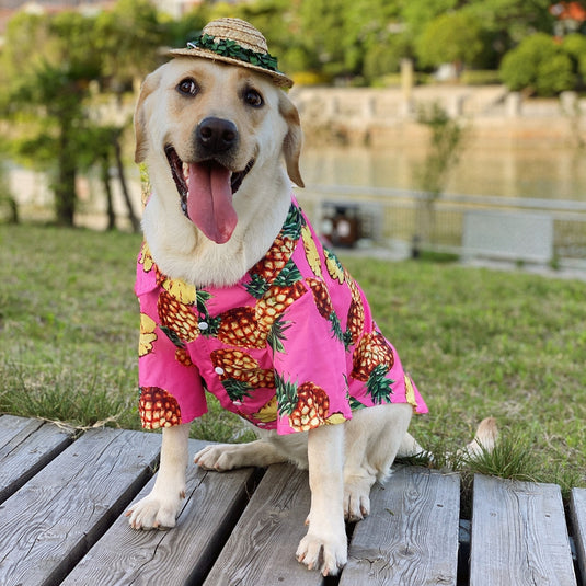 Pineapple Hawaiian Shirt For Large Dog