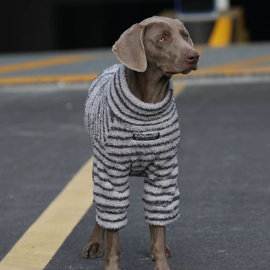 Cozy Winter Striped Large Dog Sweater