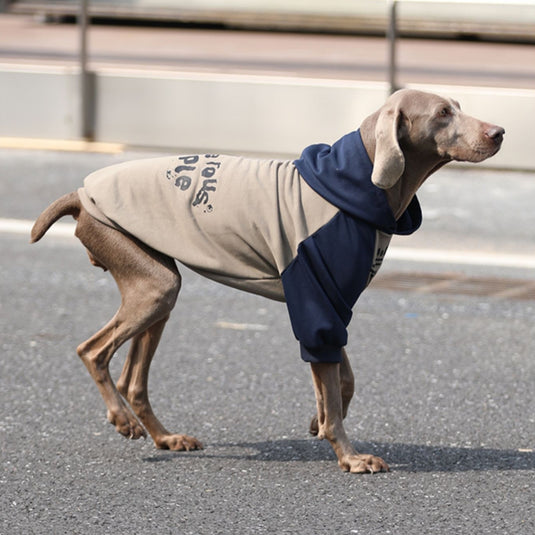 Army Large Dog Hoodie