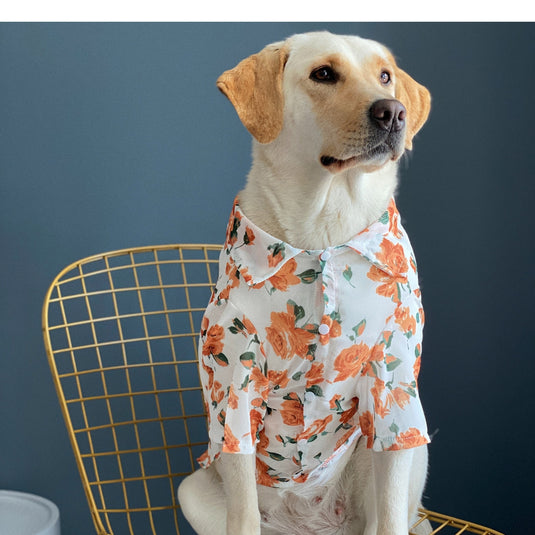 Floral Hawaiian Shirt For Large Dog