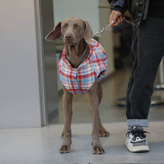 Plaid Vest for Large Dog