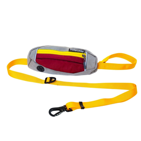 Modern Harness and Leash For Large Dog