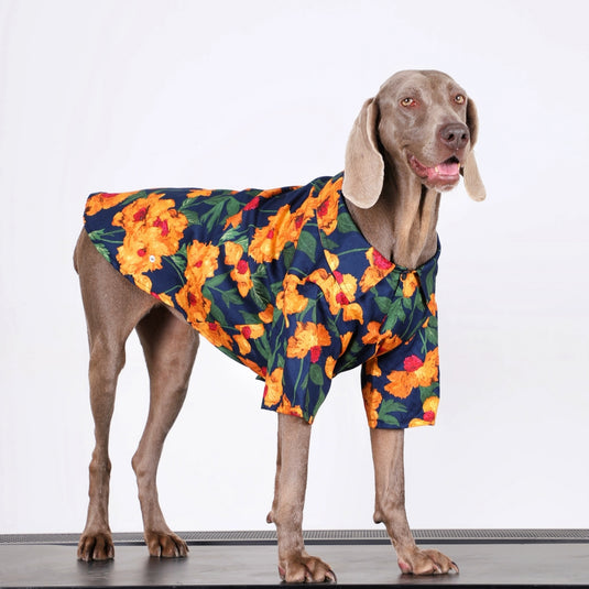 Orange Flower Large Dog Shirt