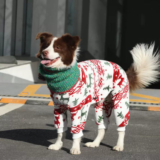 Christmas Large Dog Pajamas and Hat