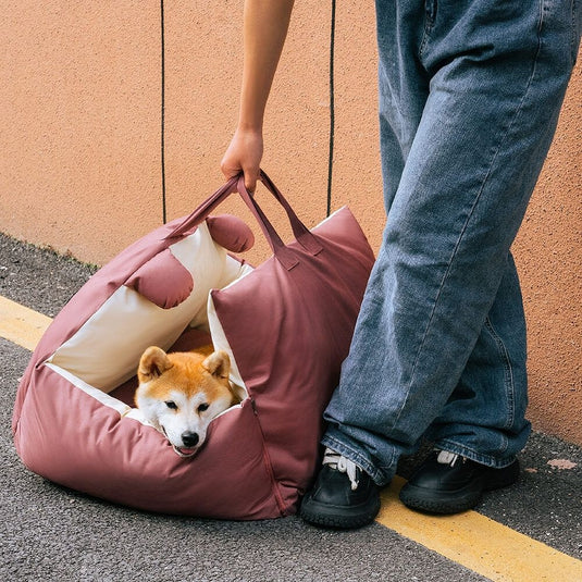 Teddy Dog Car Seat