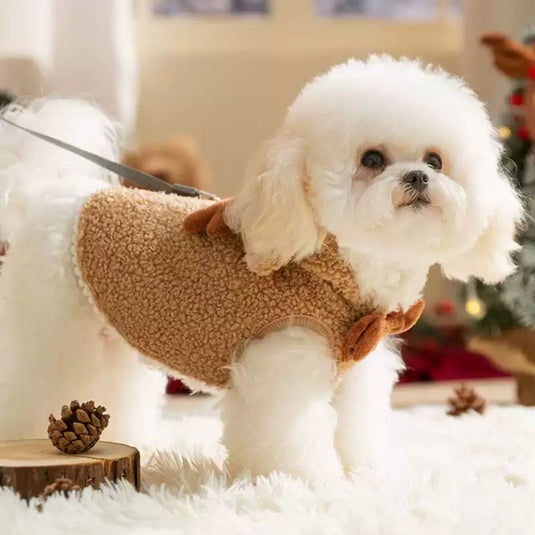 Christmas Dog Coat