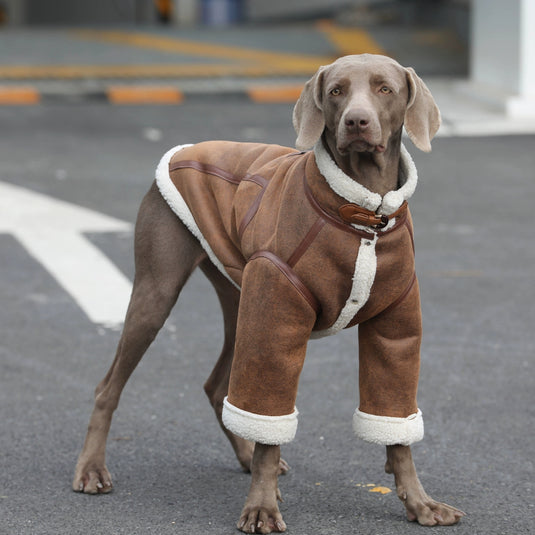 Suede Jacket For Large Dog