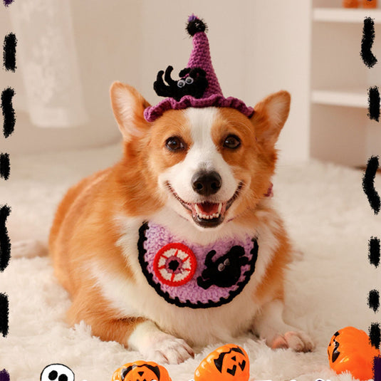 Pumpkin and Spider Halloween Pet Hat Collar