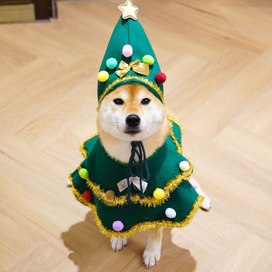 Christmas Tree Costume for Pet