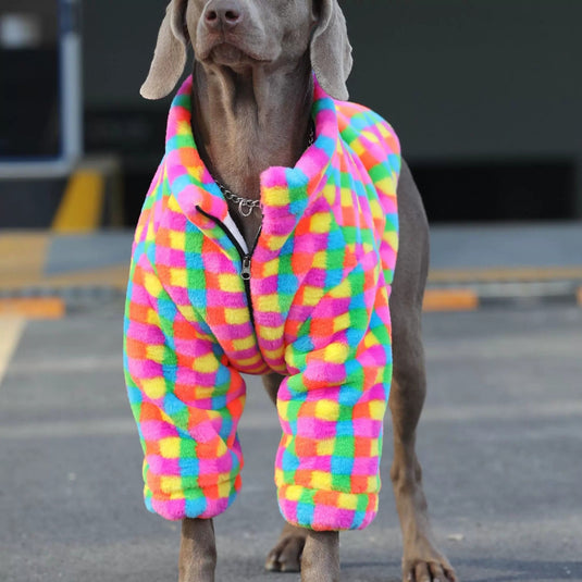 Rainbow Plaid Vest for Large Dog