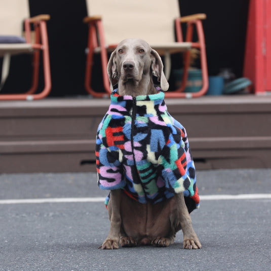 Fluffy Colorful Jacket for Large Dog